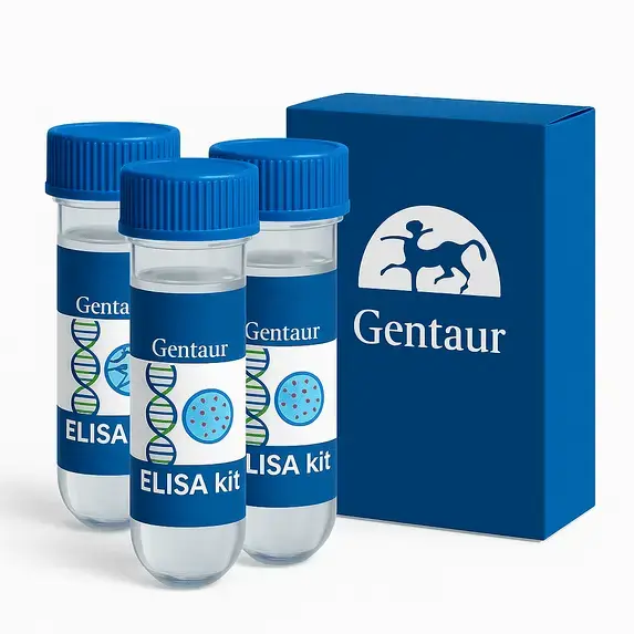ELISA Recombinant Yersinia pseudotuberculosis serotype O:3 Spermidine export protein MdtJ(mdtJ)